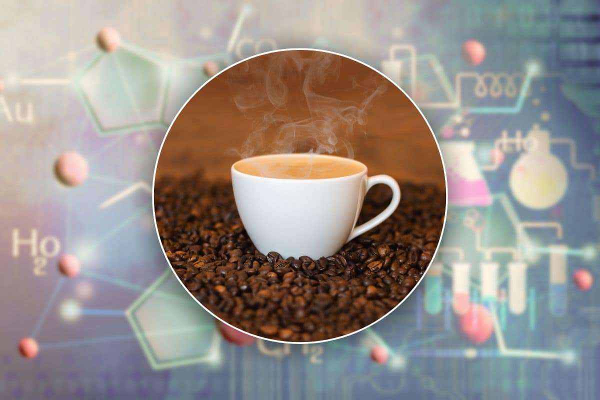 Caffè schiuma più buono secondo scienza