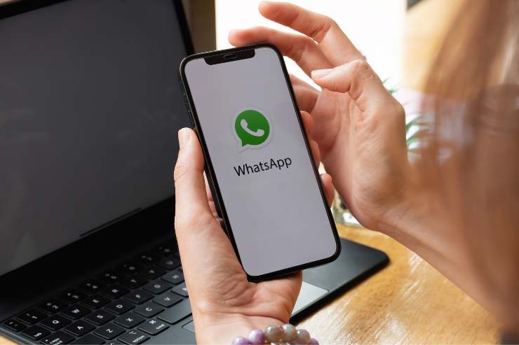 WhatsApp come cambiare colore logo